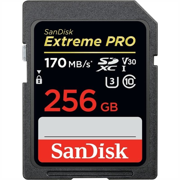 Card de memorie SanDisk SDHC 256 GB Ultra Class 10 UHS-I