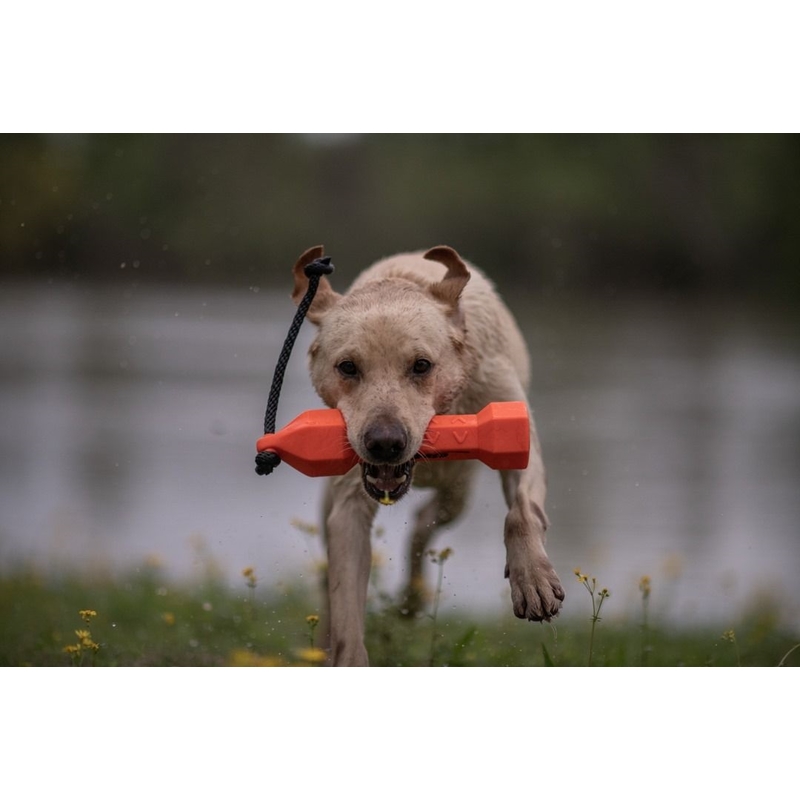 Jucărie cauciuc de dresaj pentru câine – portocaliu 3