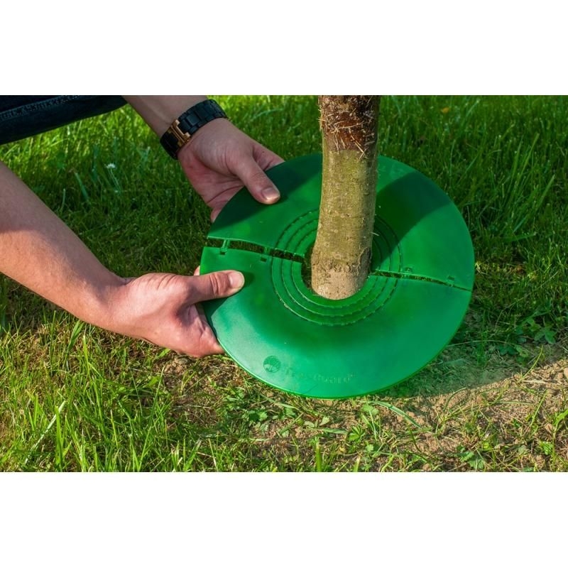 Protecție baza tulpinilor pomi tineri TreeGuard, până la 115 mm 4
