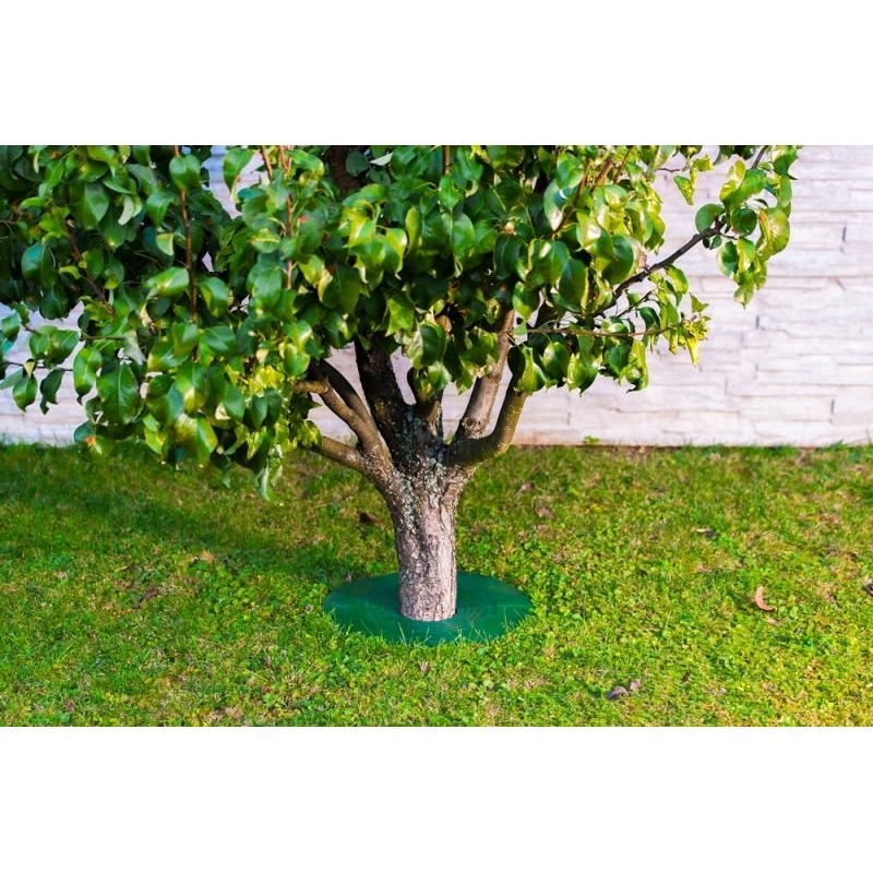Protecție baza tulpinilor pomi tineri TreeGuard, până la 115 mm 8