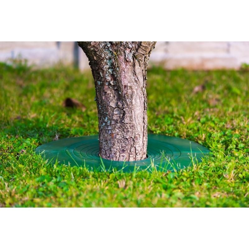 Protecție baza tulpinilor pomi tineri TreeGuard, până la 115 mm 9